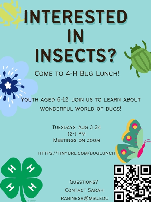 Interested in Insects information flyer